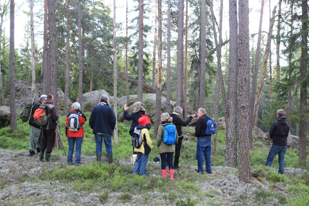 Gässlinge hällar
